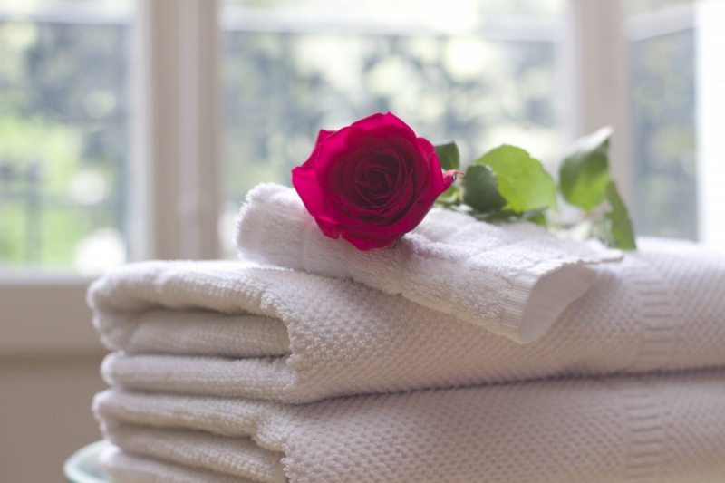 chambre-hote-BORMES LES MIMOSAS-min_towel_rose_clean_care_salon_spa_white_bath-731641